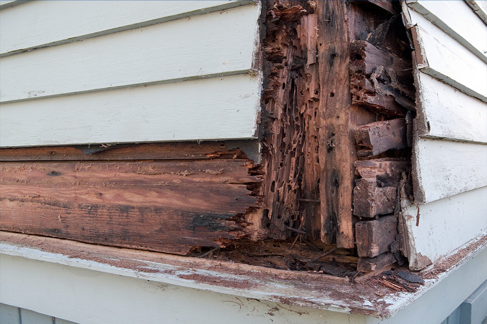 Apartment Dry Rot Repair in Portland Oregon